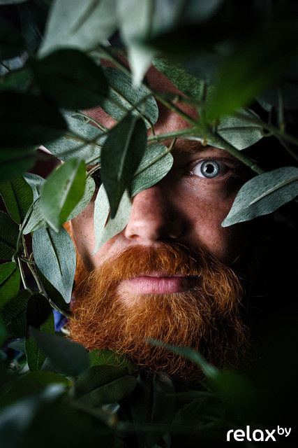 ТОП 100 фото за август, фото № 31