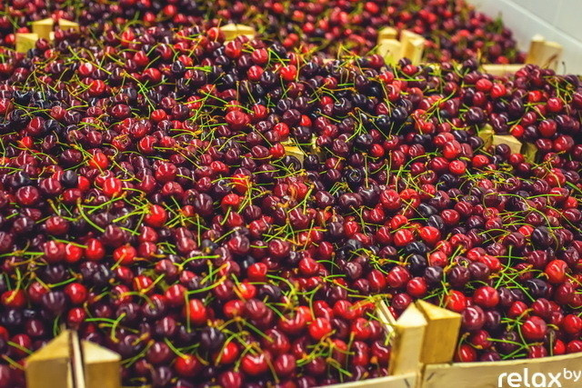 «Родная сторона» открытие, фото № 59