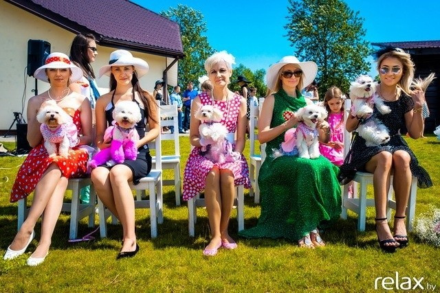 5 Лет журналу Pingouin, фото № 22