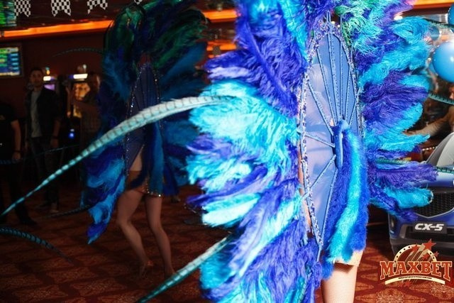 Большая Гонка Синий Финал, фото № 51