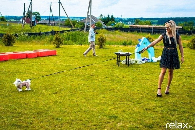 5 Лет журналу Pingouin, фото № 188