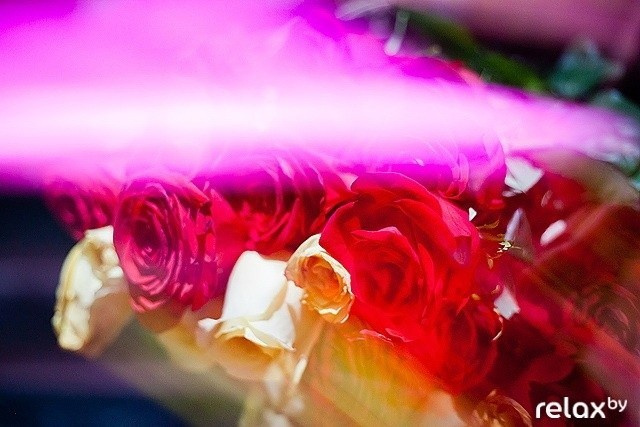 Next club show, фото № 70