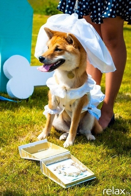 5 Лет журналу Pingouin, фото № 118