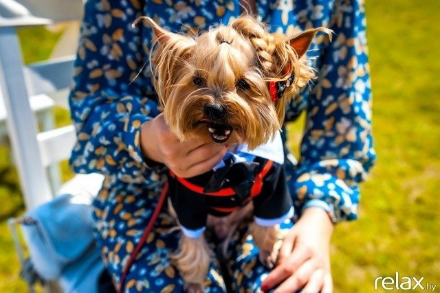 5 Лет журналу Pingouin, фото № 38