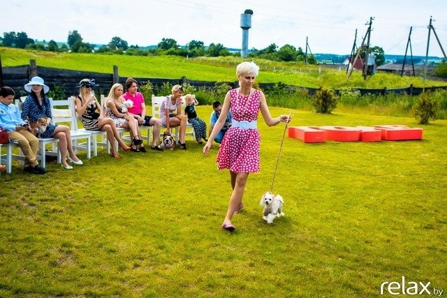 5 Лет журналу Pingouin, фото № 190