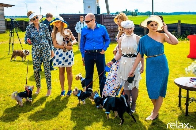 5 Лет журналу Pingouin, фото № 114