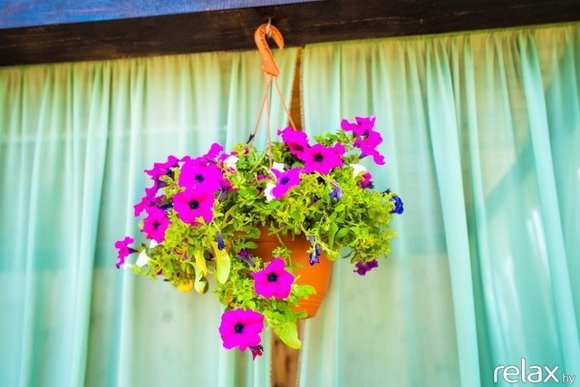 5 Лет журналу Pingouin, фото № 71