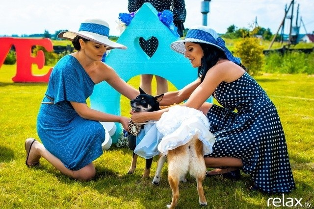 5 Лет журналу Pingouin, фото № 140