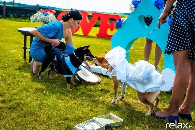 5 Лет журналу Pingouin, фото № 133