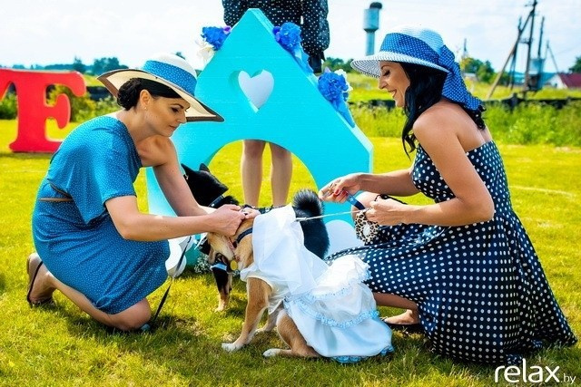 5 Лет журналу Pingouin, фото № 139