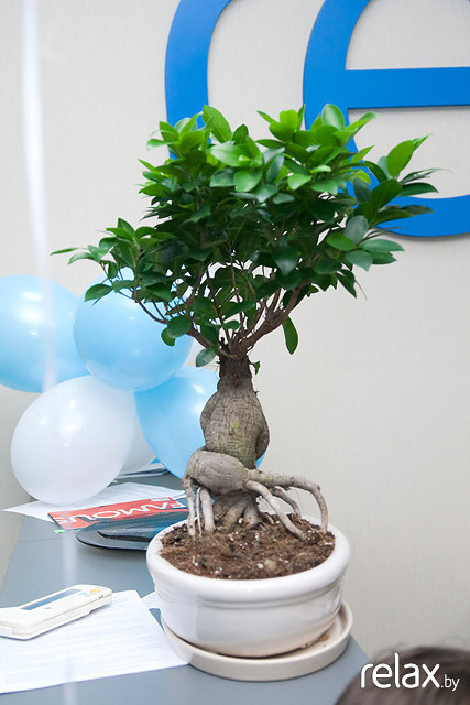 relax.by отметил свой Первый юбилей!, фото № 16