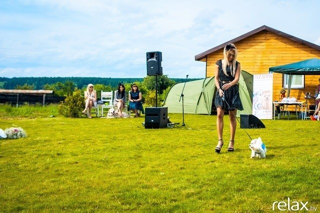 5 Лет журналу Pingouin, фото № 184