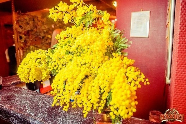 Женский день, фото № 6