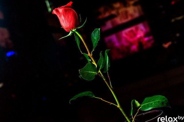 Вечеринка в клубе Next, фото № 52