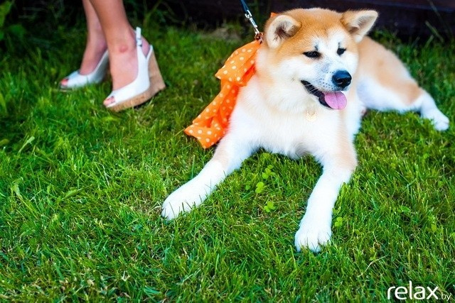 5 Лет журналу Pingouin, фото № 30