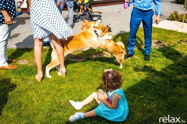 5 Лет журналу Pingouin, фото № 209