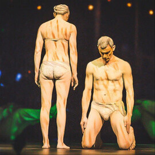 Cirque du Soleil "Quidam"