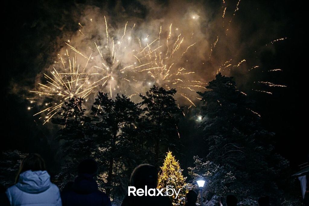 Новый год 2026 Загородный ресторанный комплекс VILIYA PARK (Вилия Парк) - фото 7871608