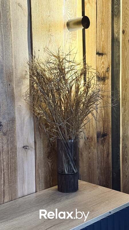 Интерьер База отдыха «Елки иголки» - фото 7852231