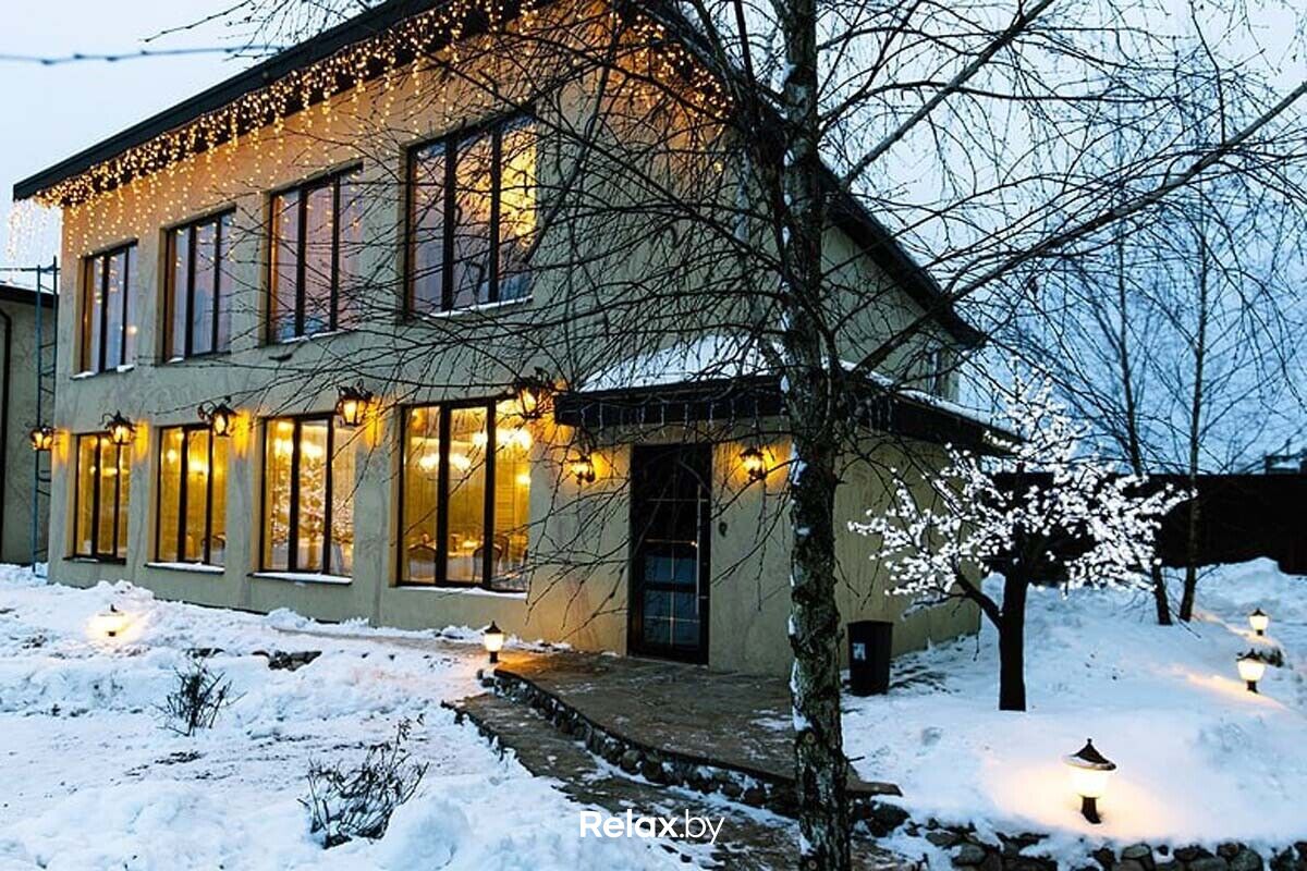 Новый год 2025 Вилла «Vice house (Вайс хаус)» - фото 7788881