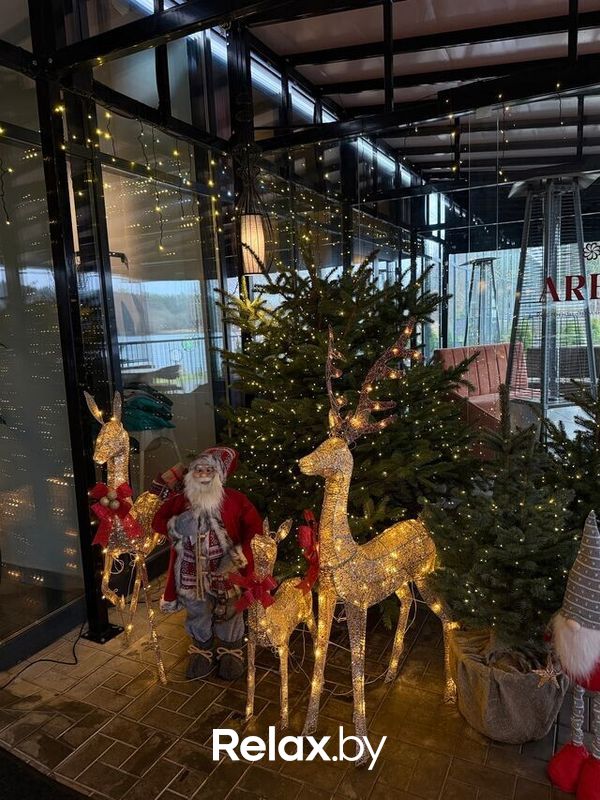 Новый год 2026 Ресторан Areni (Арени) - фото 7873966