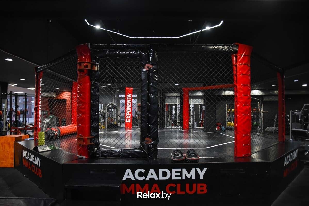 Интерьер Тренажерный зал и единоборства «ACADEMY MMA CLUB (Академия ММА Клаб)» - фото 7758776