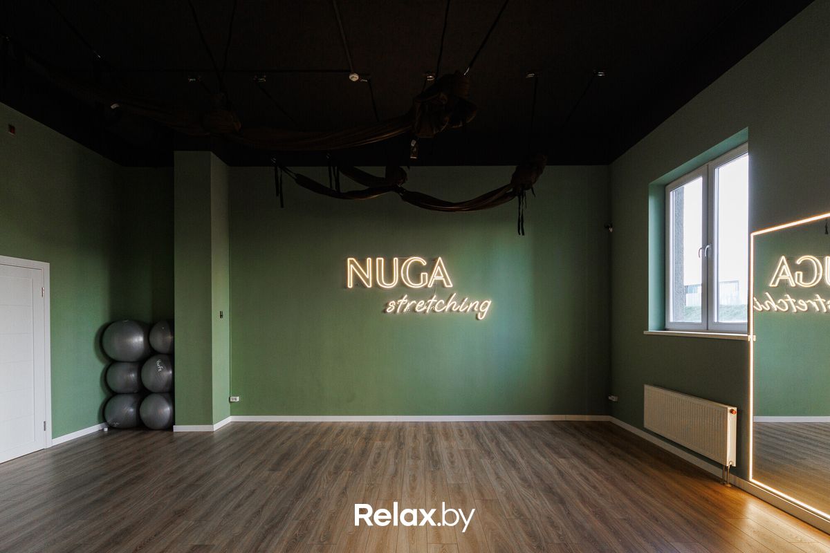 Интерьер Студия растяжки Nuga (Нуга) - фото 7860733