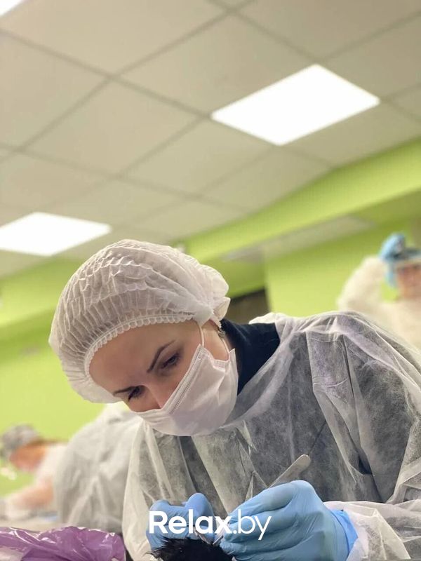 Галерея Ветклиника «Айдавет» - фото 7873489