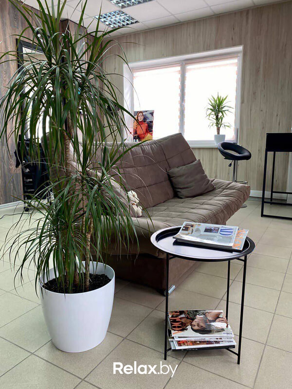 Интерьер Салон красоты «Ns Beauty Studio (Нс Бьюти Студия)» - фото 7796342