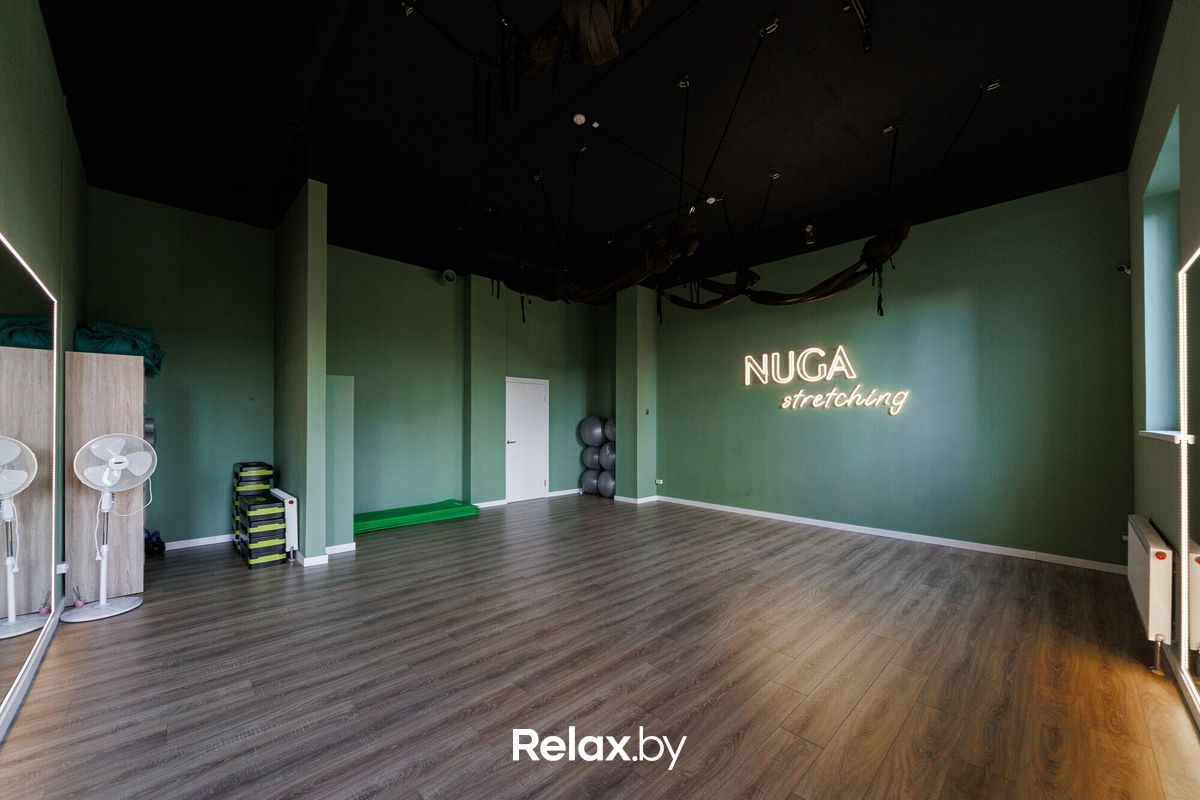 Интерьер Студия растяжки Nuga (Нуга) - фото 7860736