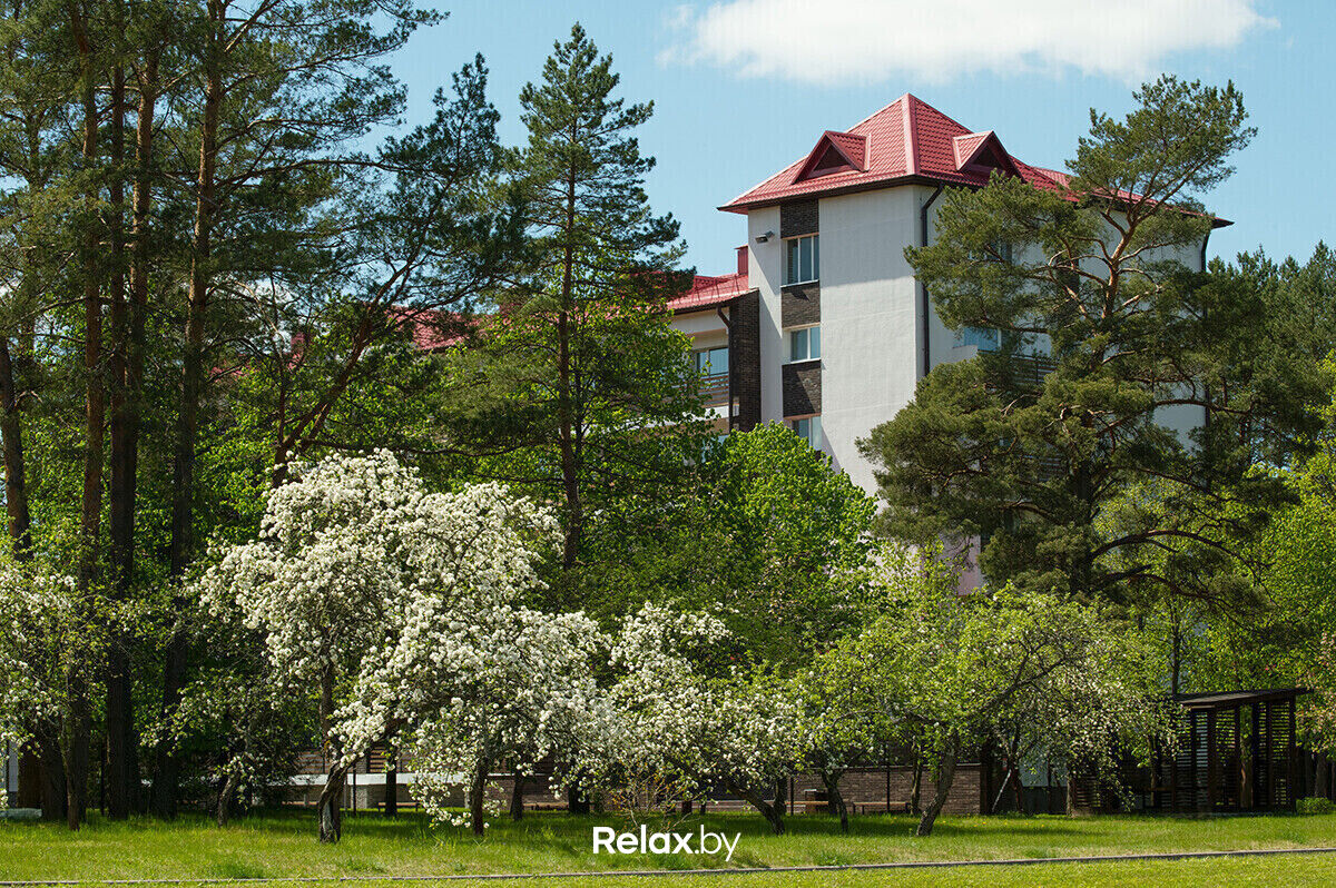Листинг (не удалять) Загородный комплекс «VILIYA PARK (Вилия Парк)» - фото 7707597