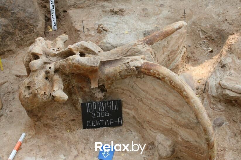 Стоянка первобытных людей Музей под открытым небом «Стоянка первобытных людей» - фото 7814210