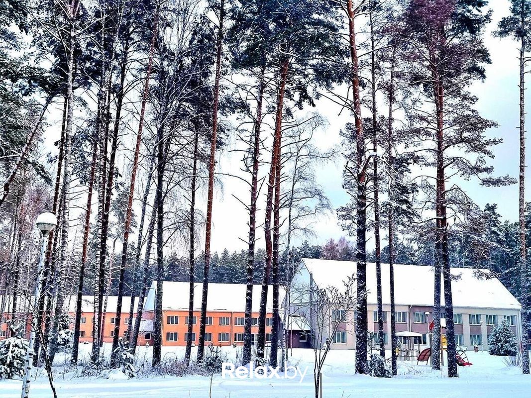 Новый год 2025 Оздоровительный комплекс «Чайка» - фото 7731265