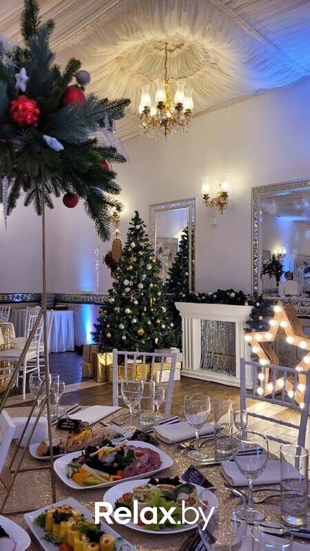 Новый год Банкетный комплекс «Троицкий Холл» - фото 7781030