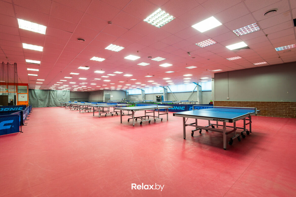 Галерея Клуб настольного тенниса «King Pong Club (Кинг Понг Клаб)» - фото 7707991