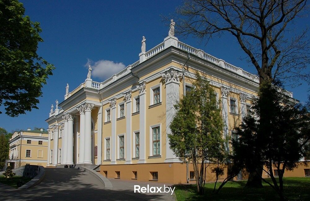 Дворец «Дворец Румянцевых и Паскевичей» - фото 1866273