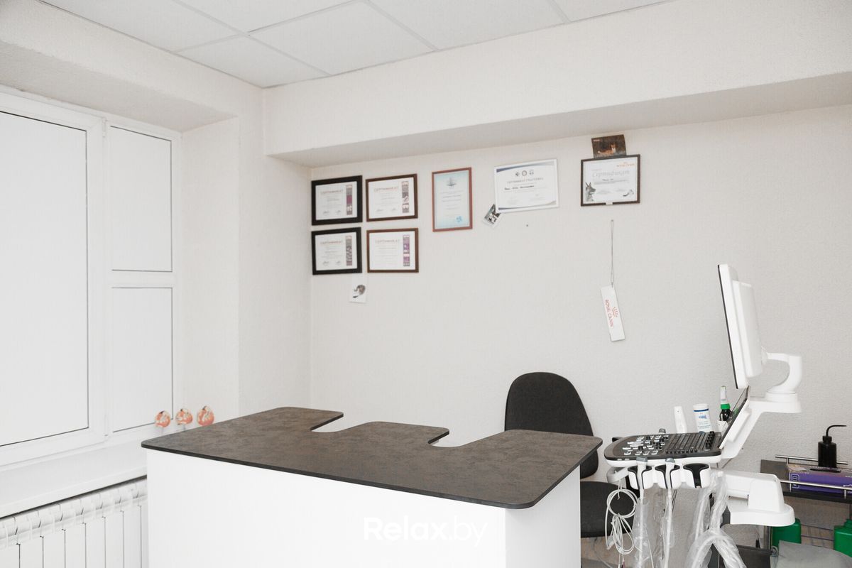 Интерьер Ветклиника «PET’S HEALTH (ПЕТС ХЕЛС)» - фото 7860727