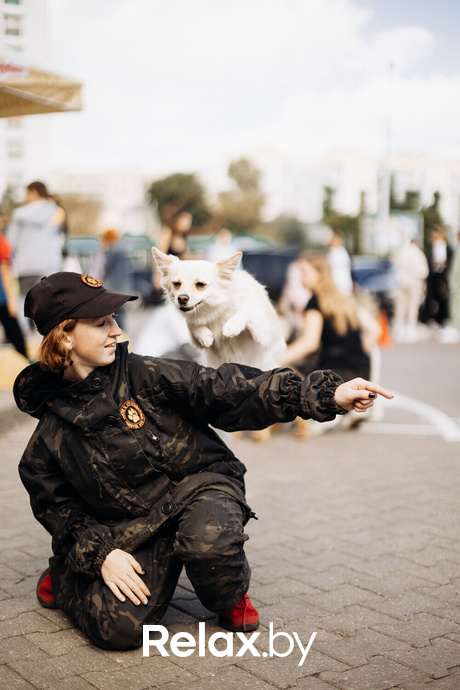 Акция Пушистого Добра, фото № 60