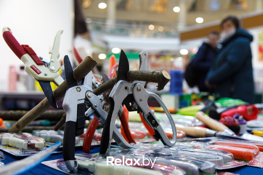 Ярмарка «Мир мёда и здоровья», фото № 32