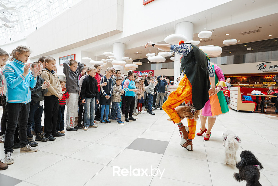 Благотворительный закрытый показ «Ловушка для привидения», фото № 30