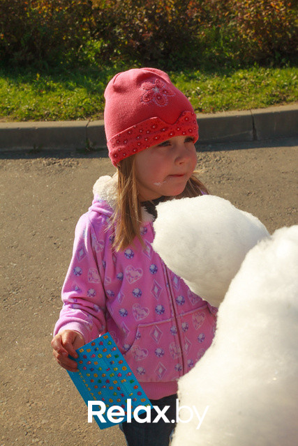 Акция ко Дню защиты животных, фото № 24