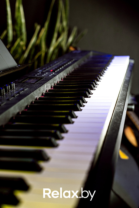 Ночные жители, фото № 47