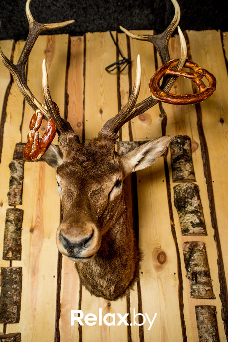 Петь душе не запретишь!, фото № 16