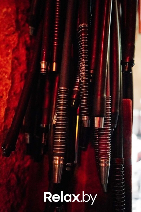 Live Music, фото № 26