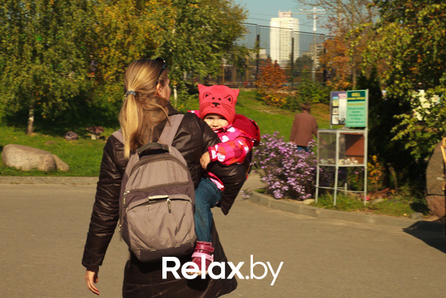 Акция ко Дню защиты животных, фото № 17