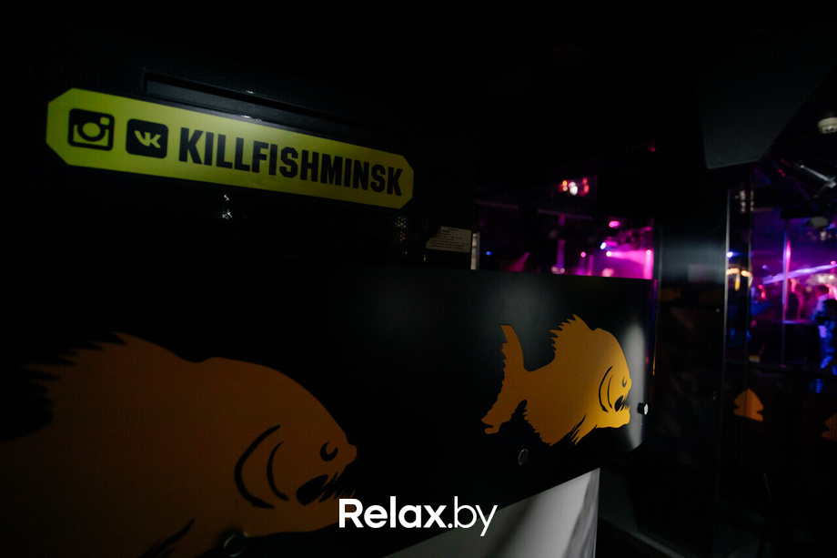 Ночь знакомств, фото № 1