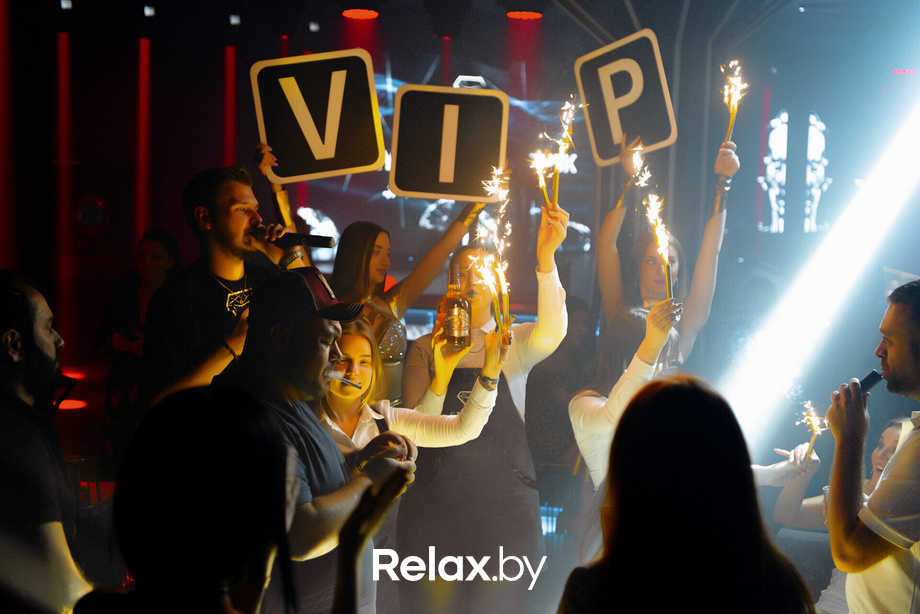 Белый лебедь, фото № 24