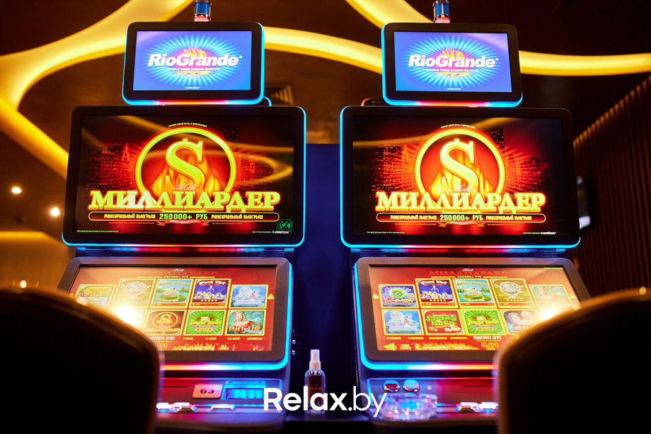 Пекинская капуста, фото № 11