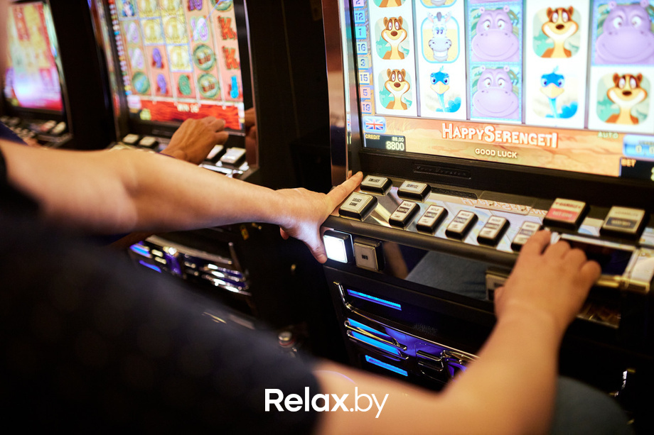 Шоу Пекинская капуста, фото № 16