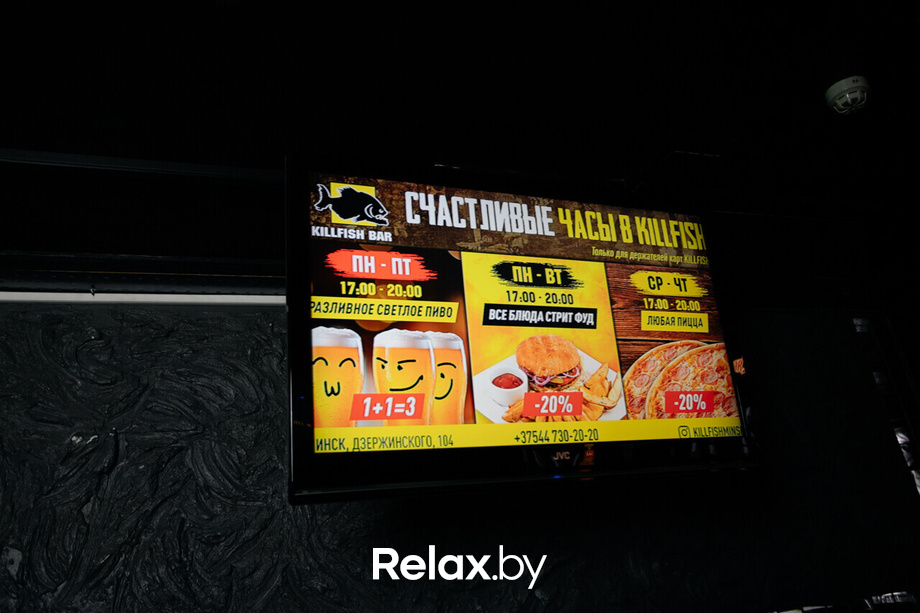 Шуфутинов день, фото № 44